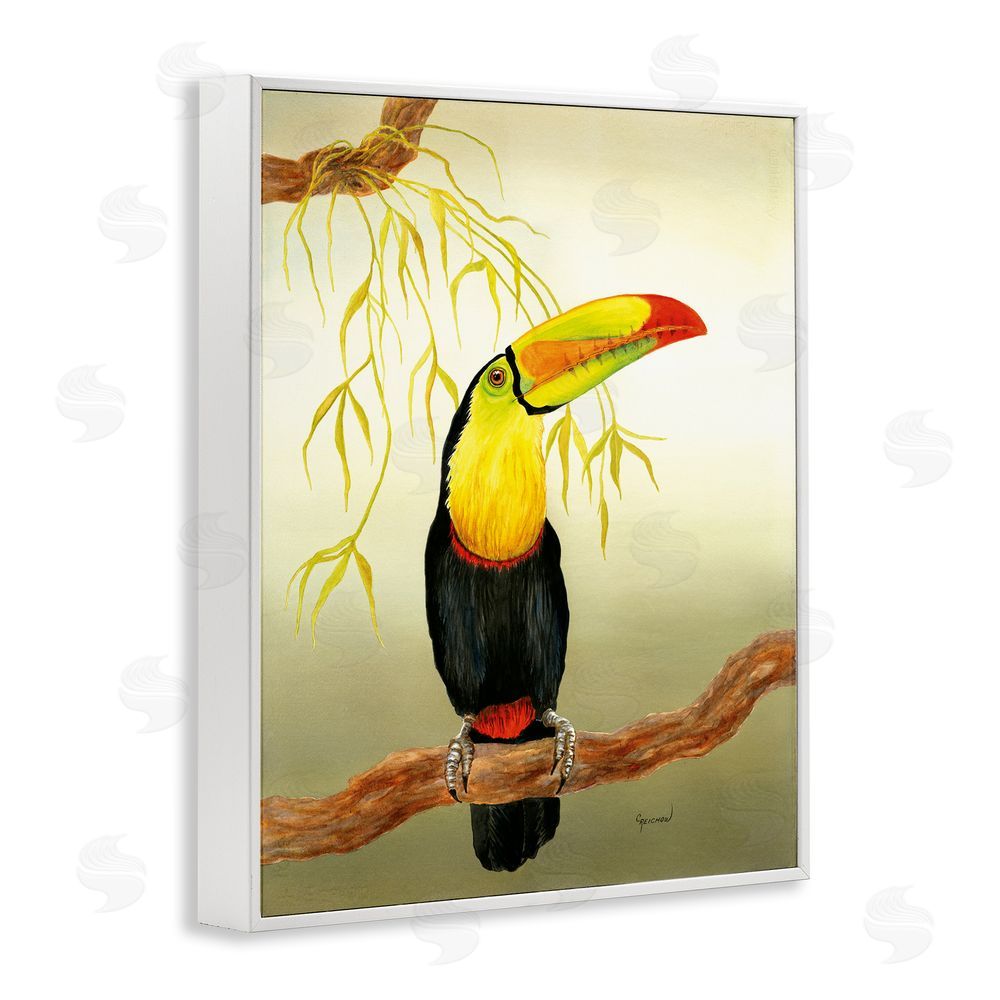 Christine Reichow Toucan on Forest Branch