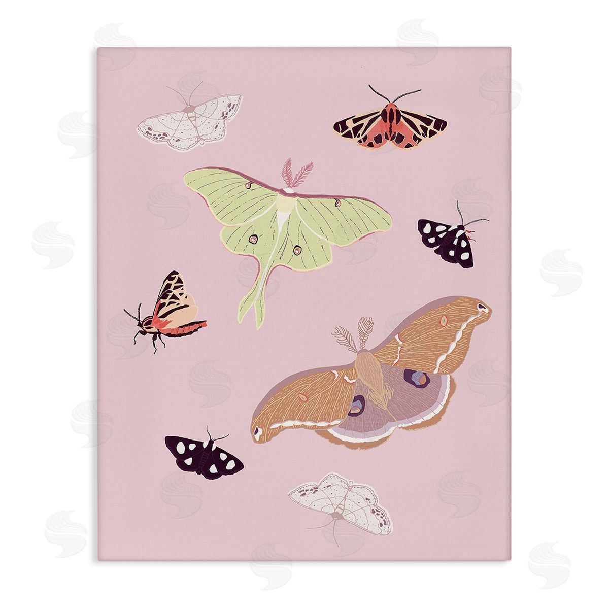 Sweet Melody Designs Varied Moth Pattern