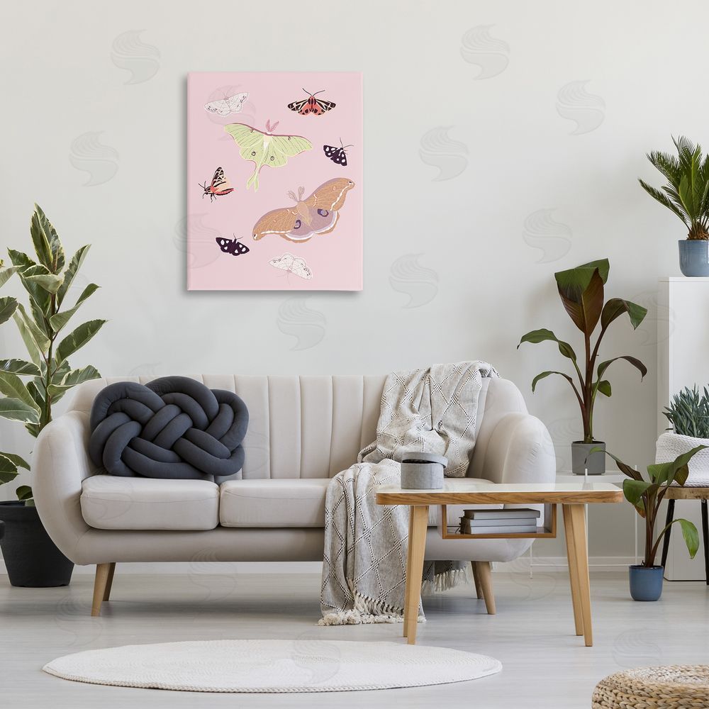 Sweet Melody Designs Varied Moth Pattern