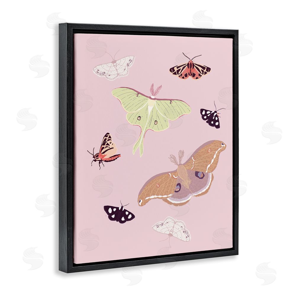 Sweet Melody Designs Varied Moth Pattern