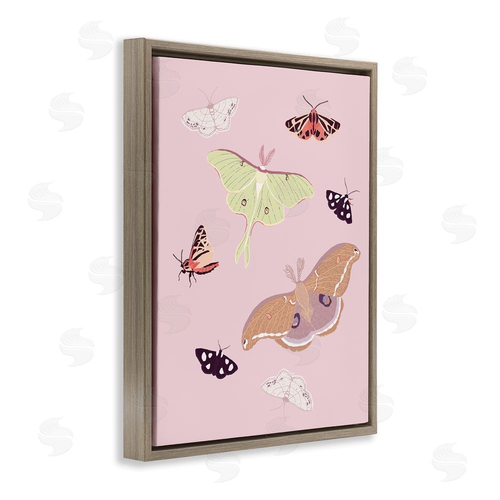 Sweet Melody Designs Varied Moth Pattern