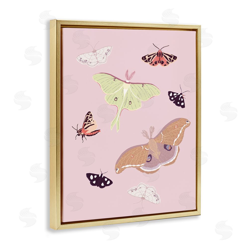 Sweet Melody Designs Varied Moth Pattern