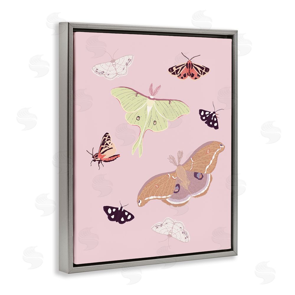 Sweet Melody Designs Varied Moth Pattern
