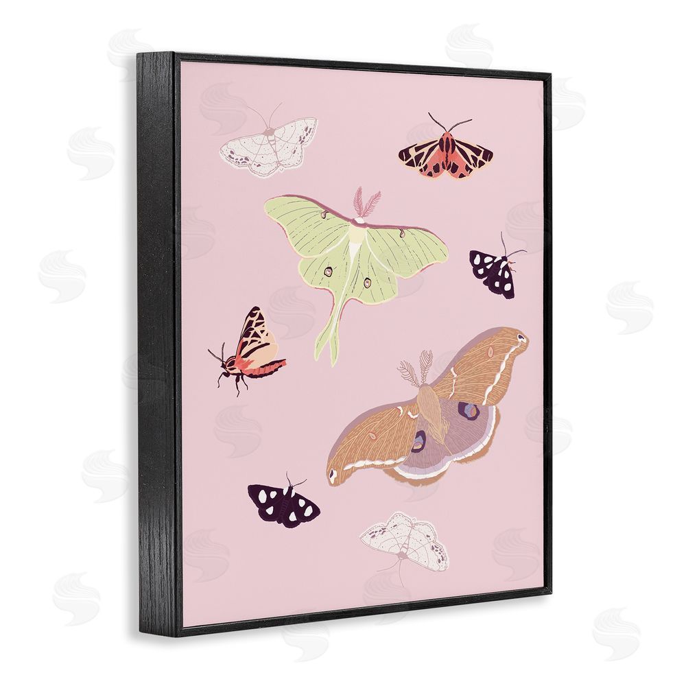 Sweet Melody Designs Varied Moth Pattern