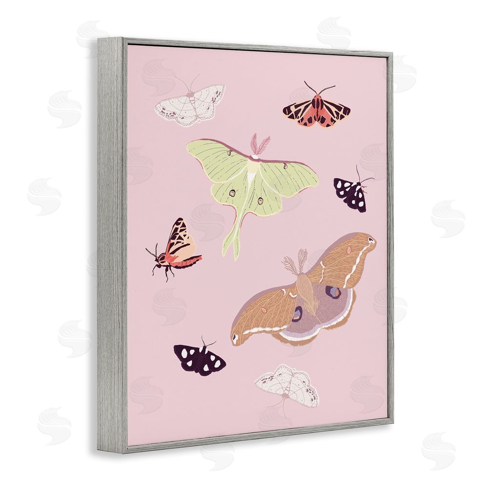 Sweet Melody Designs Varied Moth Pattern