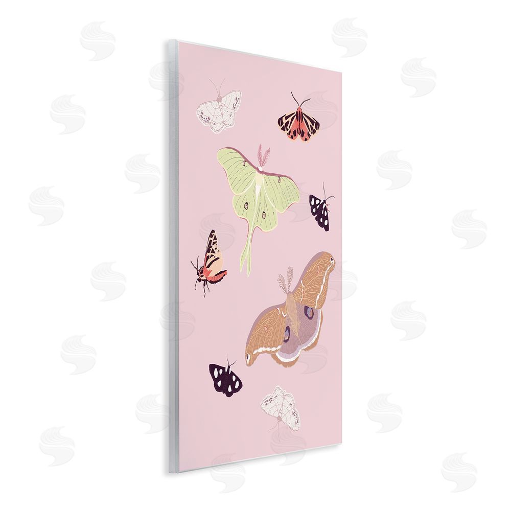 Sweet Melody Designs Varied Moth Pattern