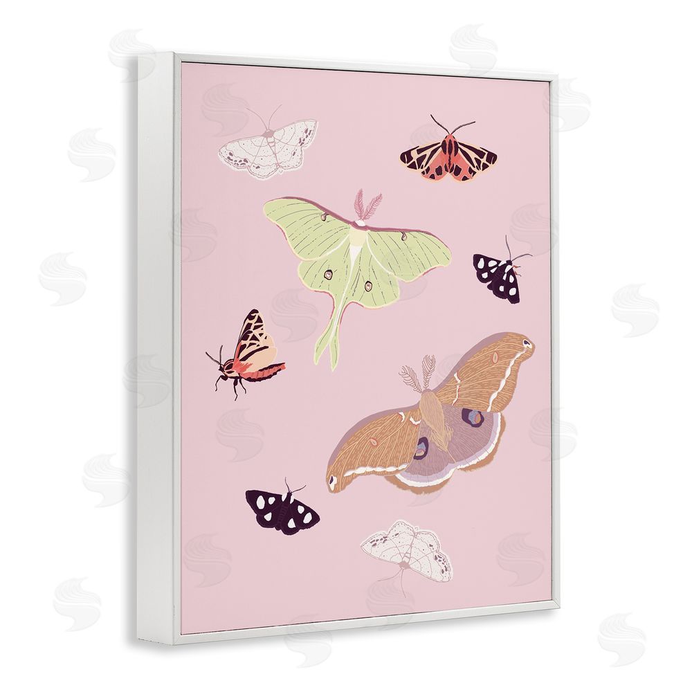 Sweet Melody Designs Varied Moth Pattern