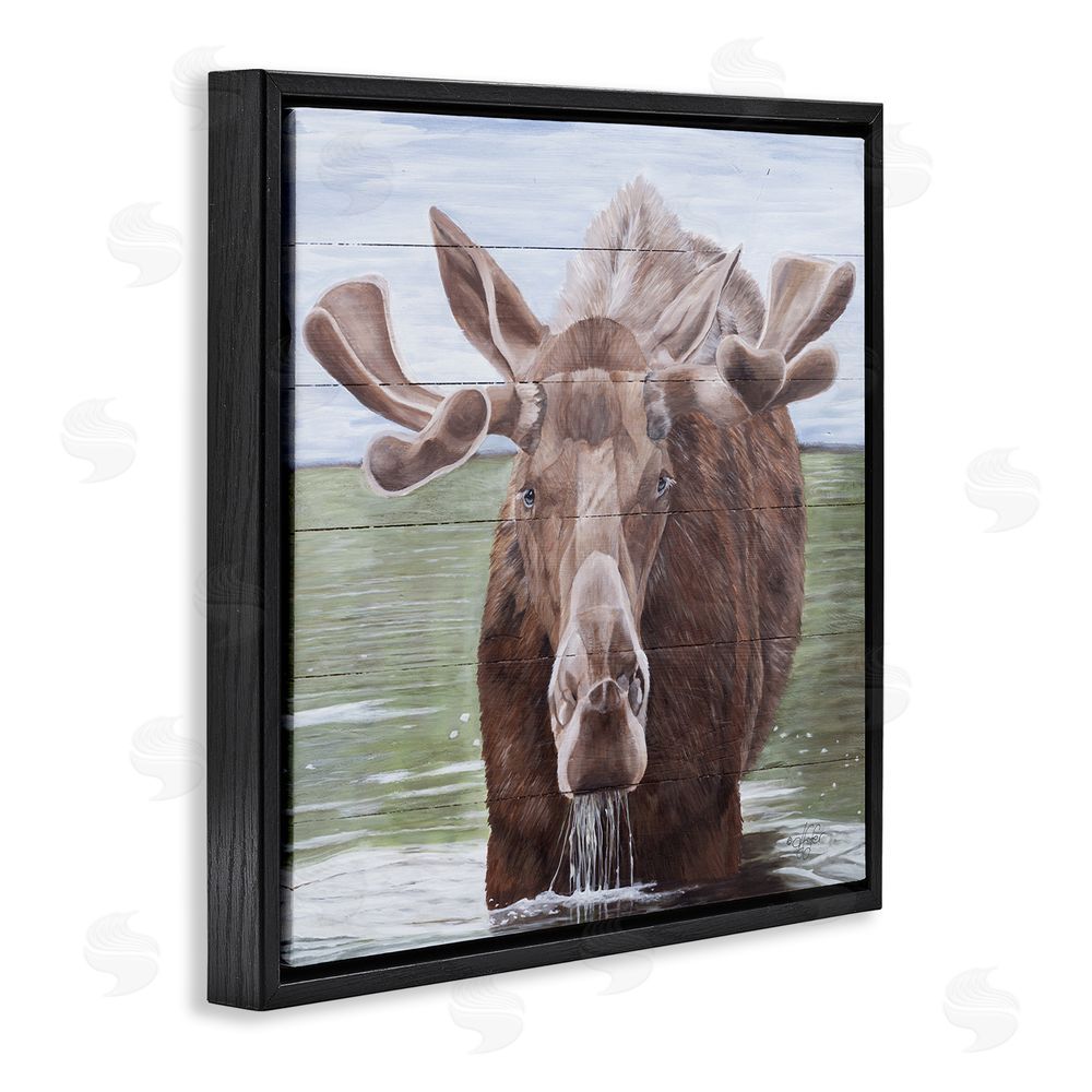 Diane Fifer Rustic Moose in Lake Black Floating Frame Canvas Wall Art Print