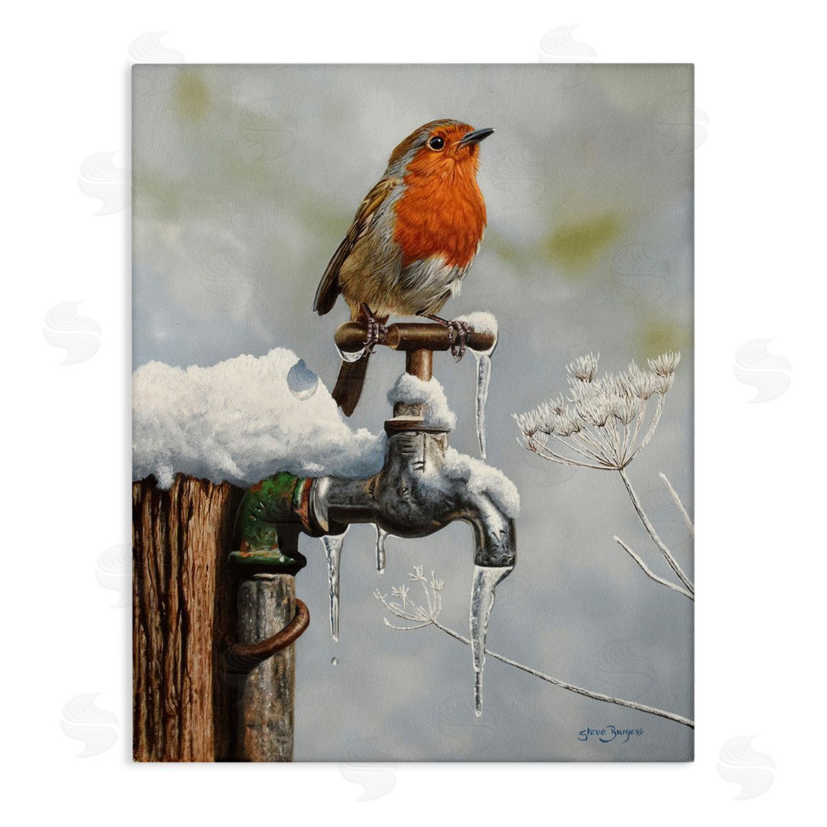 Steve Burgess Robin Bird & Winter Scene
