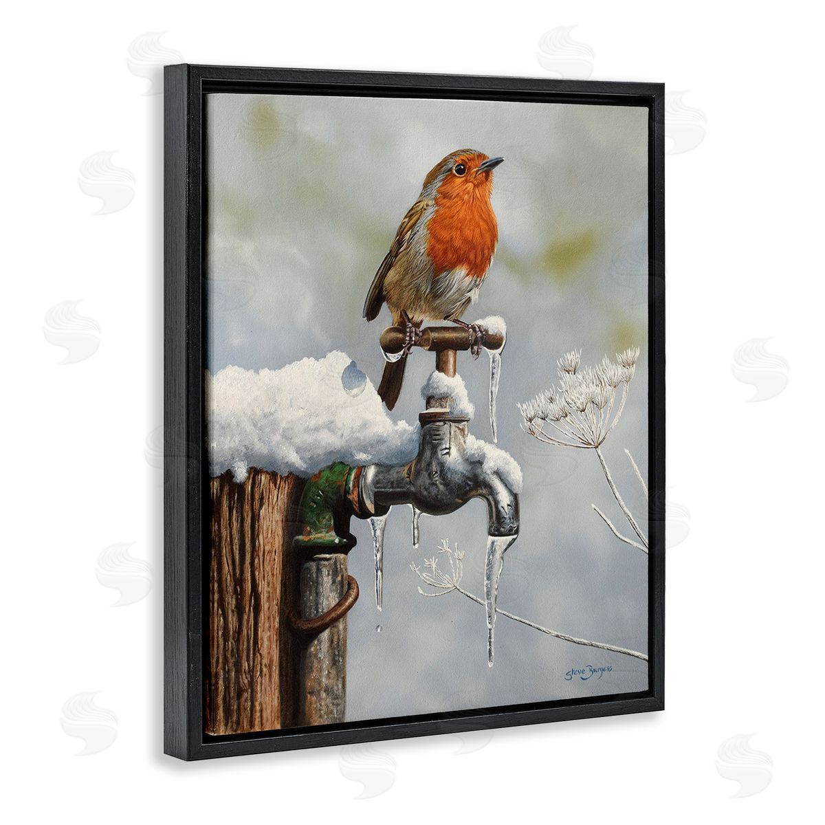 Steve Burgess Robin Bird & Winter Scene
