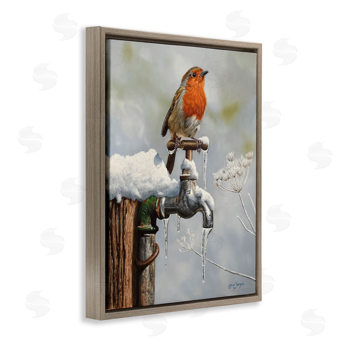 Steve Burgess Robin Bird & Winter Scene