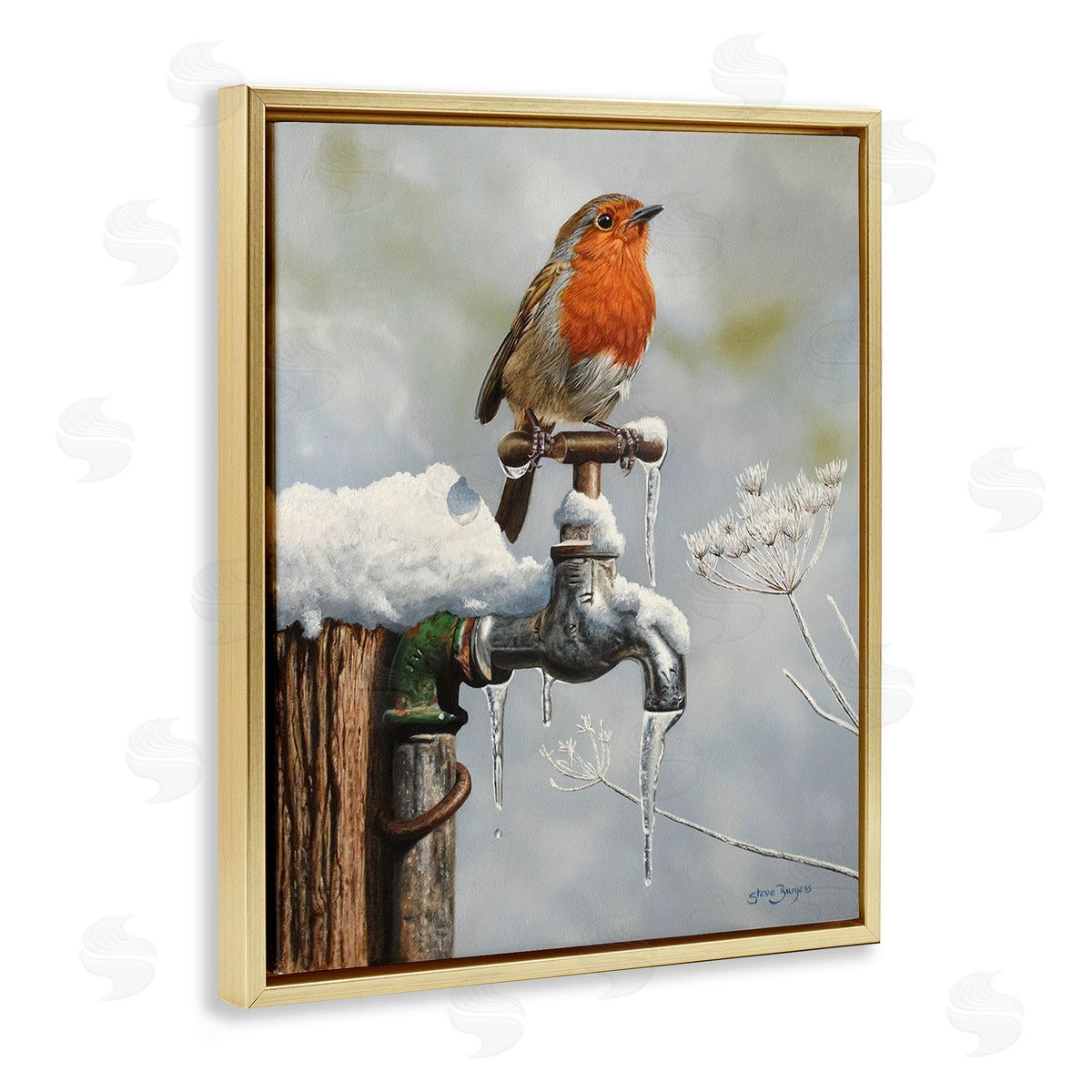 Steve Burgess Robin Bird & Winter Scene