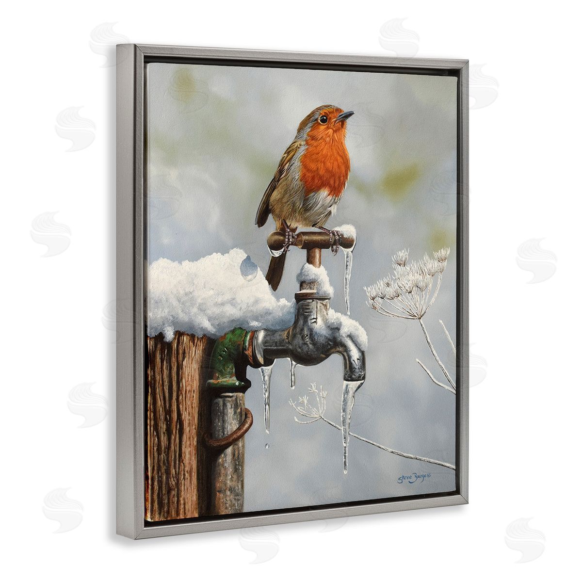 Steve Burgess Robin Bird & Winter Scene