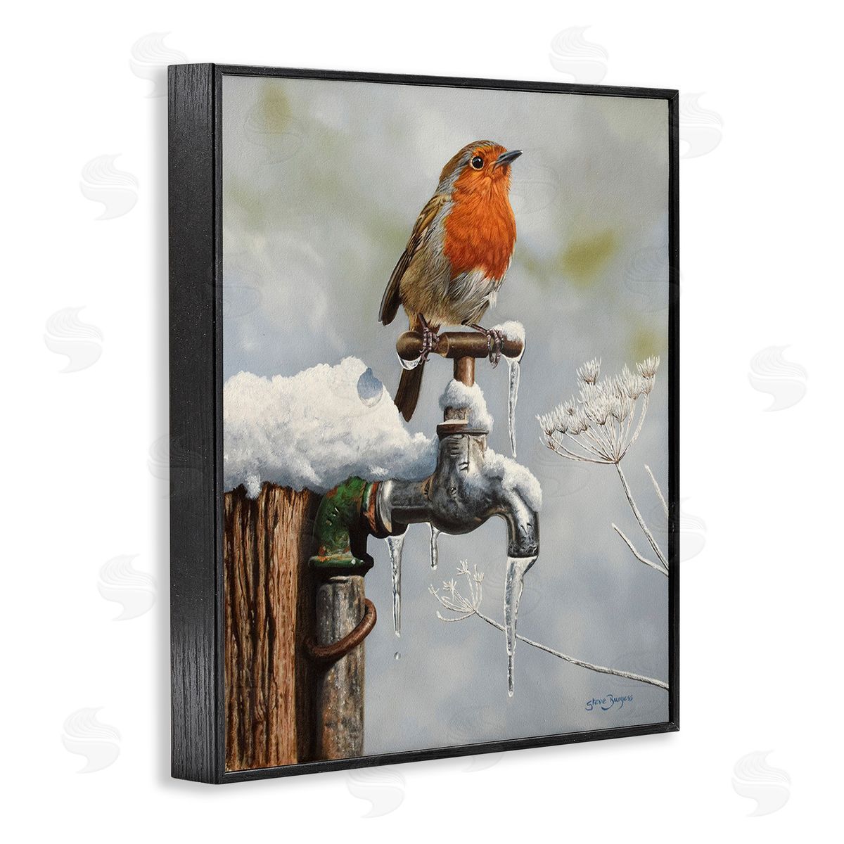 Steve Burgess Robin Bird & Winter Scene