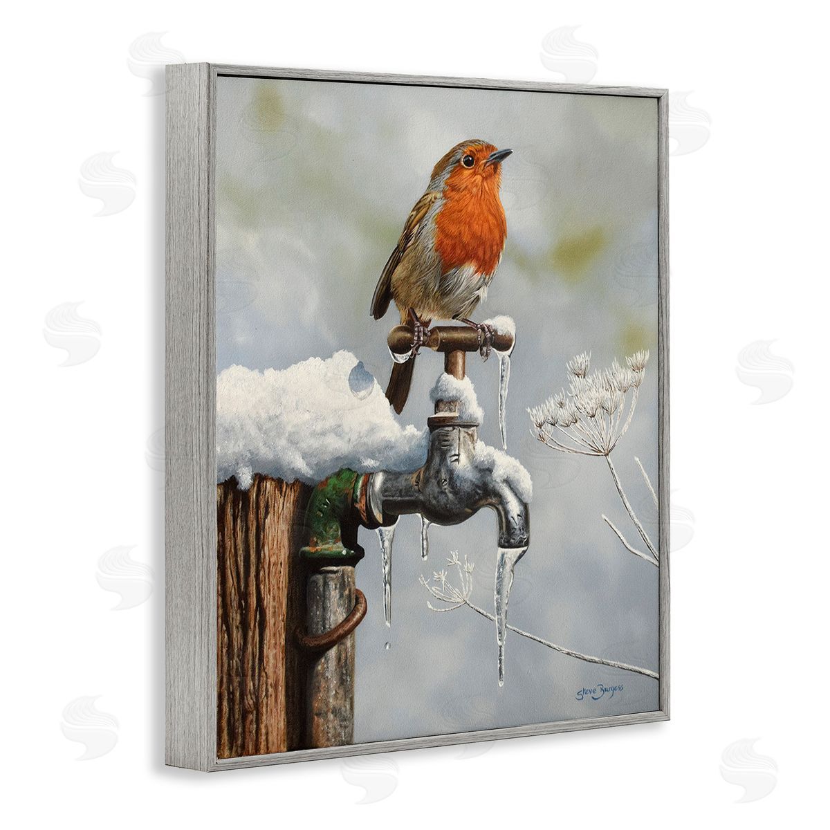 Steve Burgess Robin Bird & Winter Scene