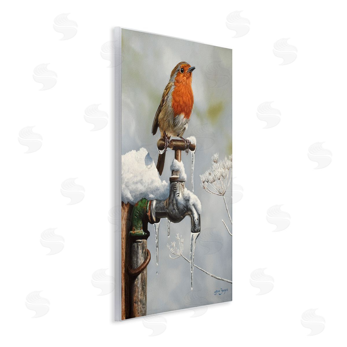 Steve Burgess Robin Bird & Winter Scene