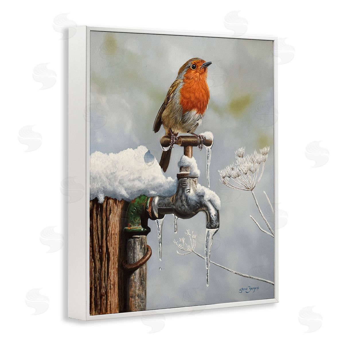 Steve Burgess Robin Bird & Winter Scene
