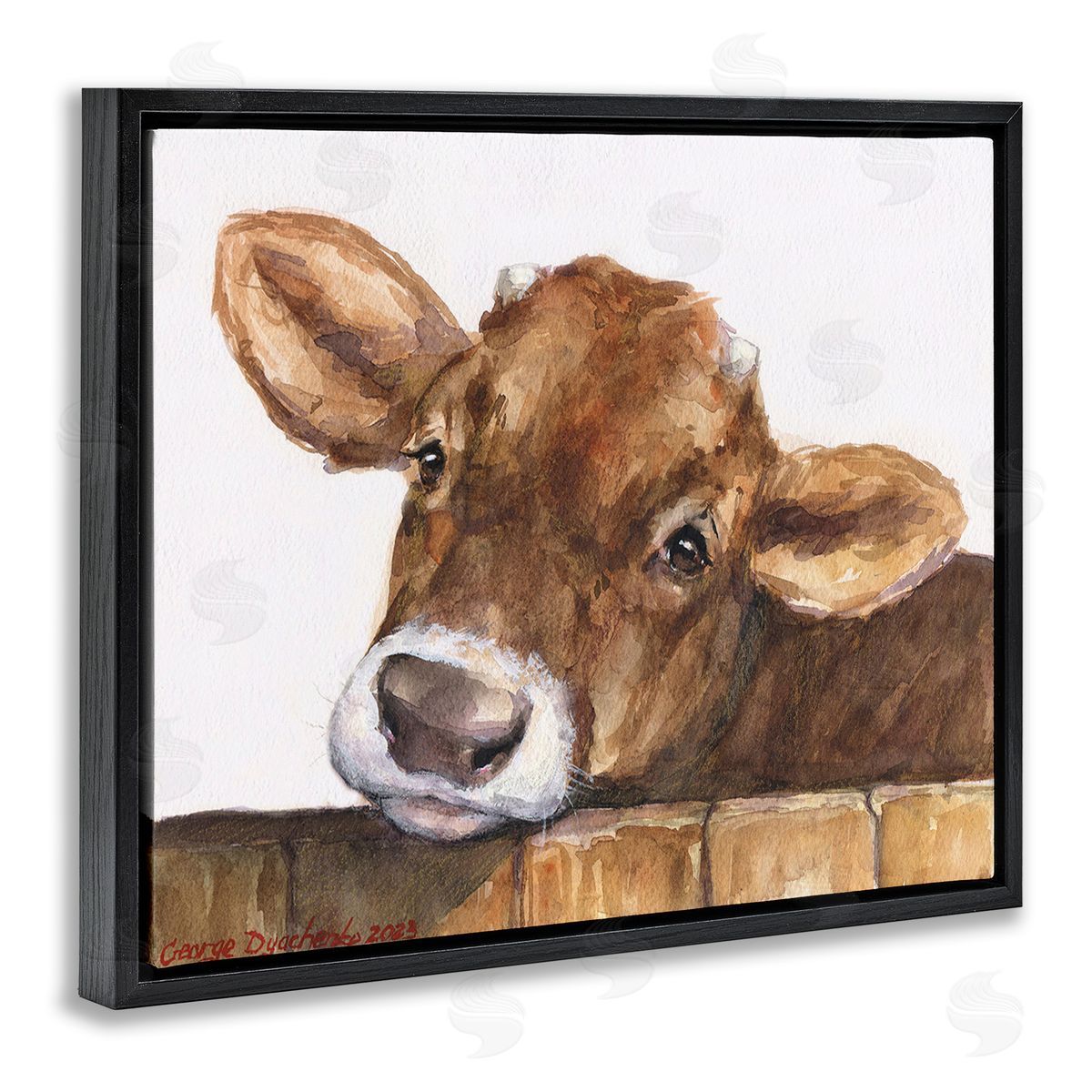 George Dyachenko Cattle Calf Gazing