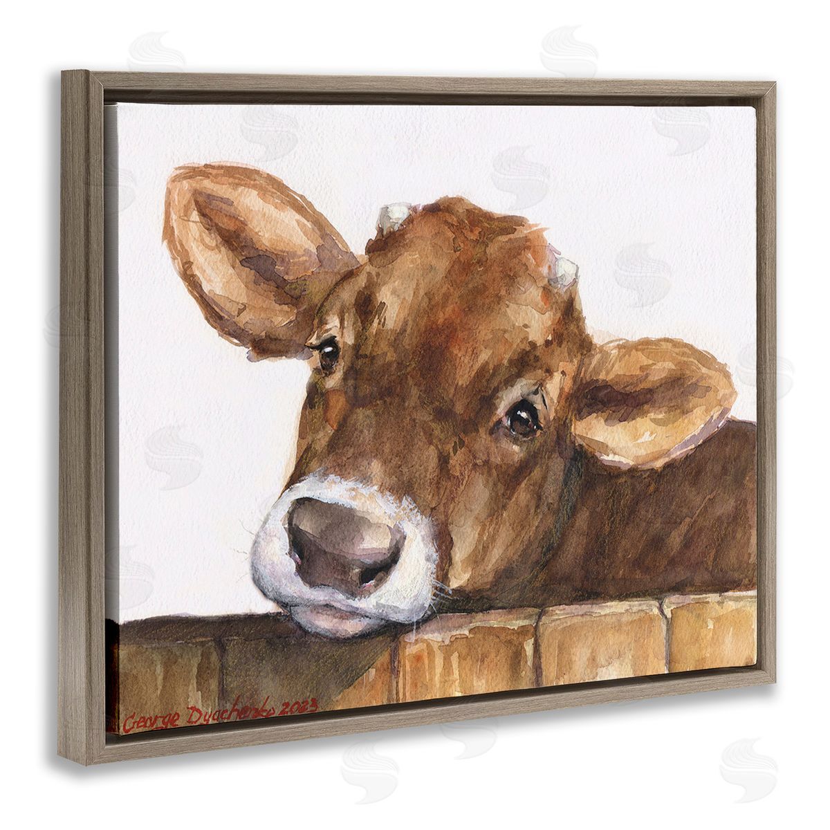 George Dyachenko Cattle Calf Gazing