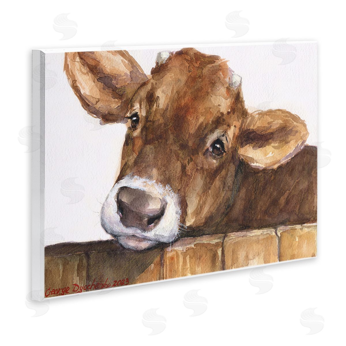 George Dyachenko Cattle Calf Gazing