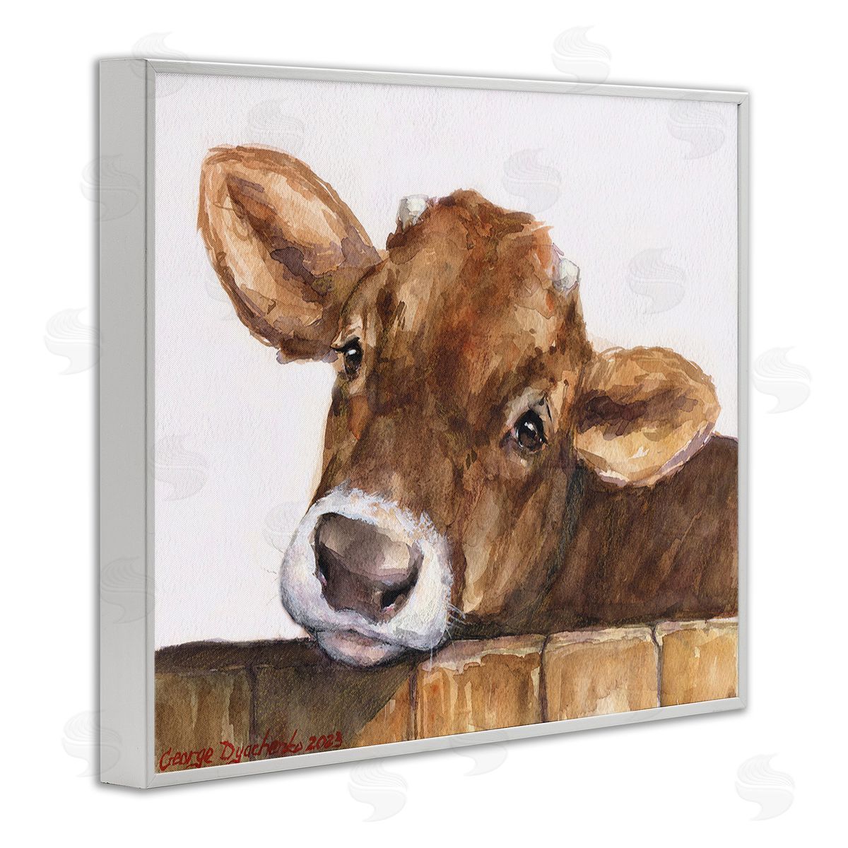 George Dyachenko Cattle Calf Gazing