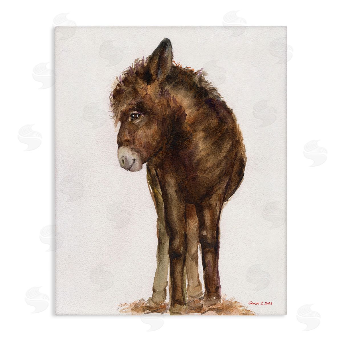 George Dyachenko Smiling Donkey Foal