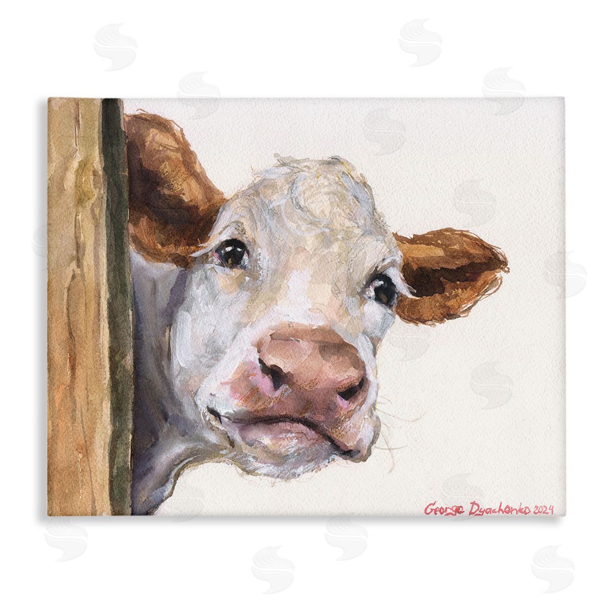 George Dyachenko Peeking Cattle & Fence