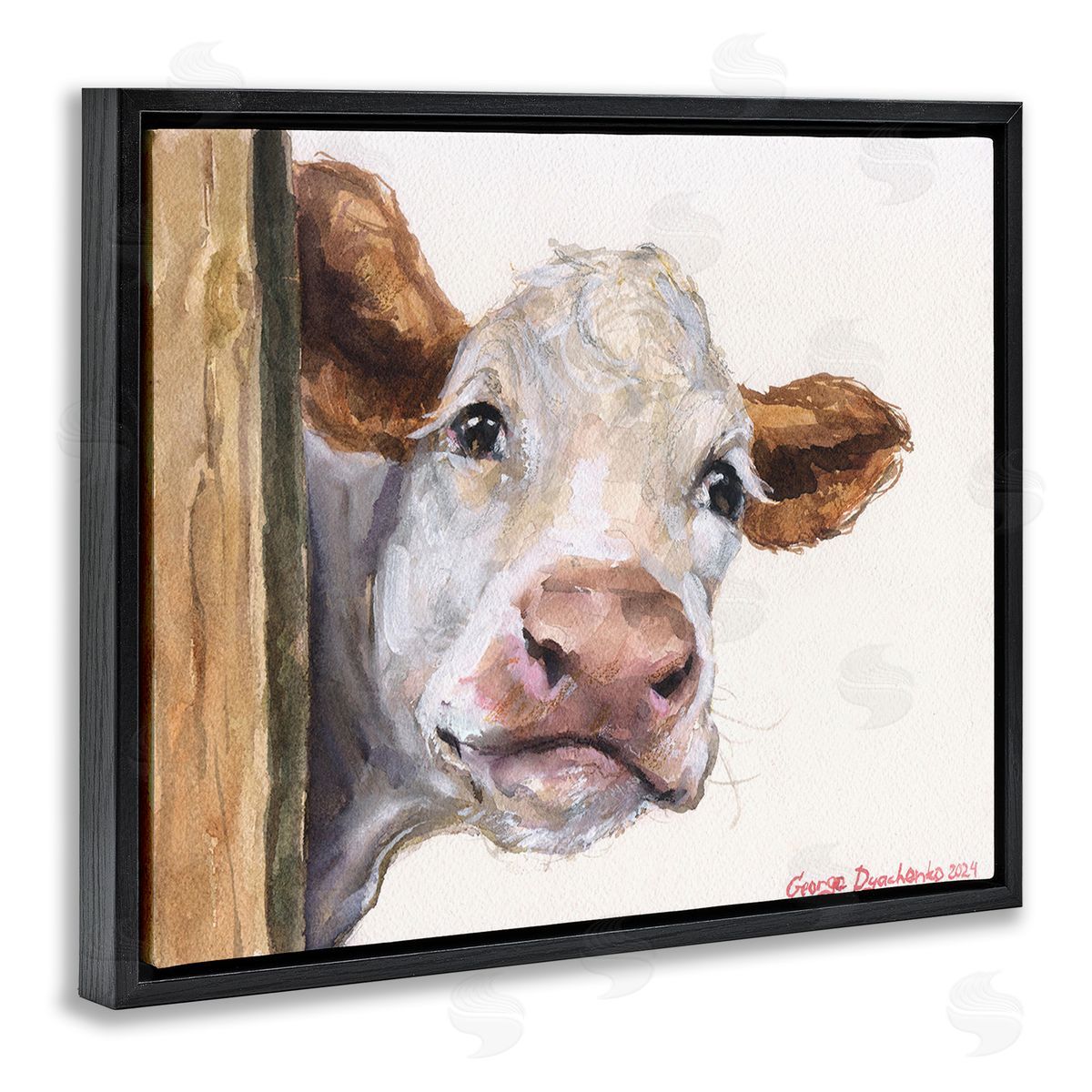 George Dyachenko Peeking Cattle & Fence