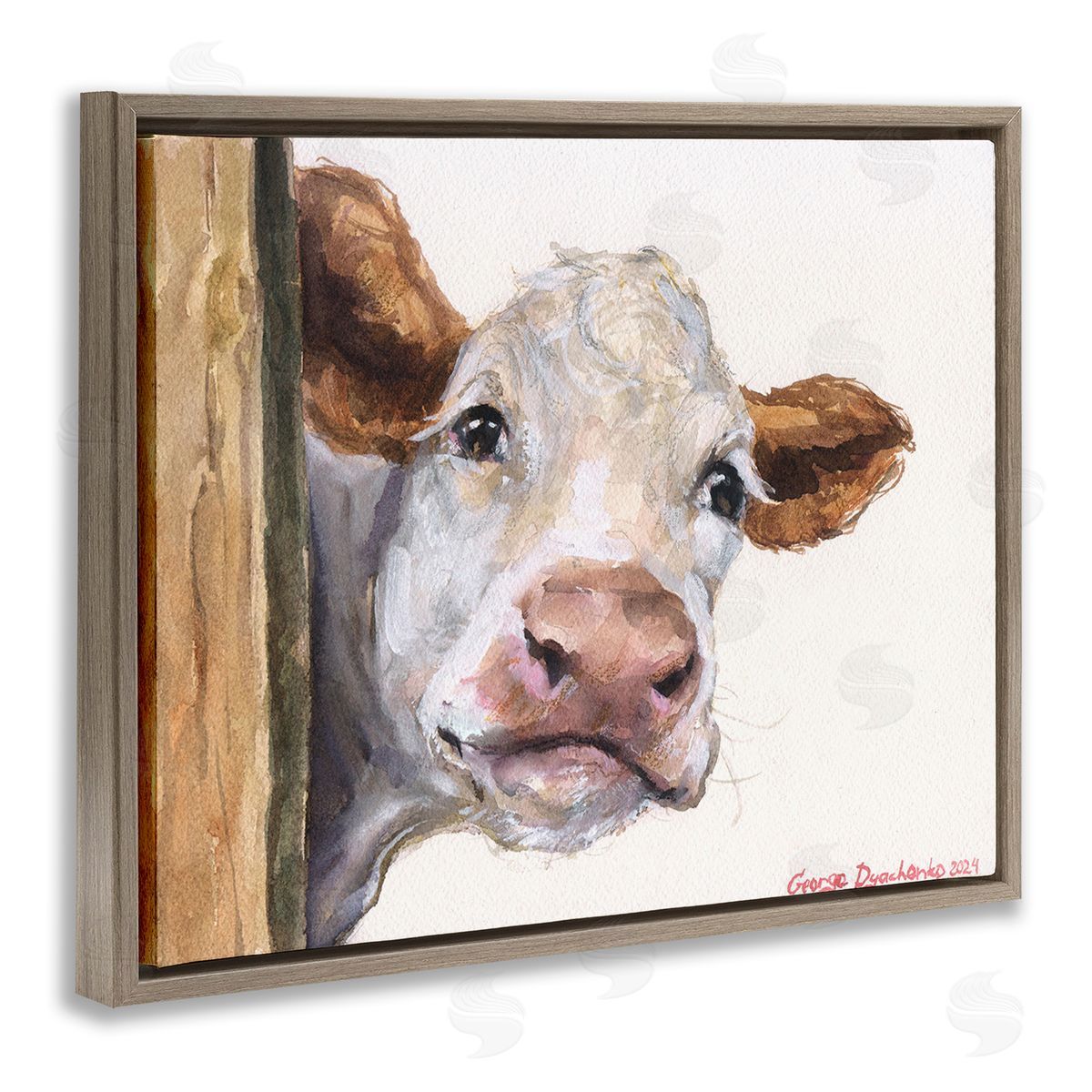George Dyachenko Peeking Cattle & Fence