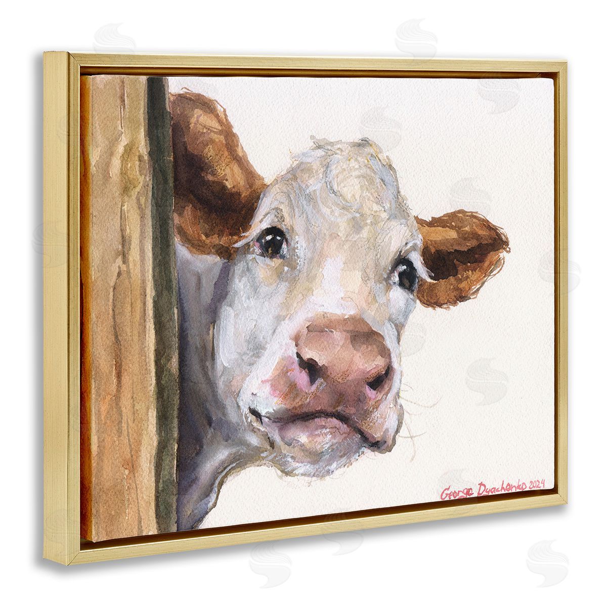 George Dyachenko Peeking Cattle & Fence