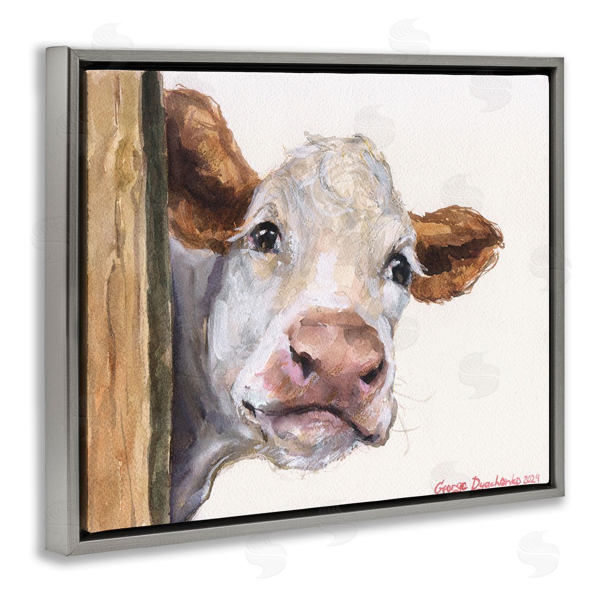 George Dyachenko Peeking Cattle & Fence