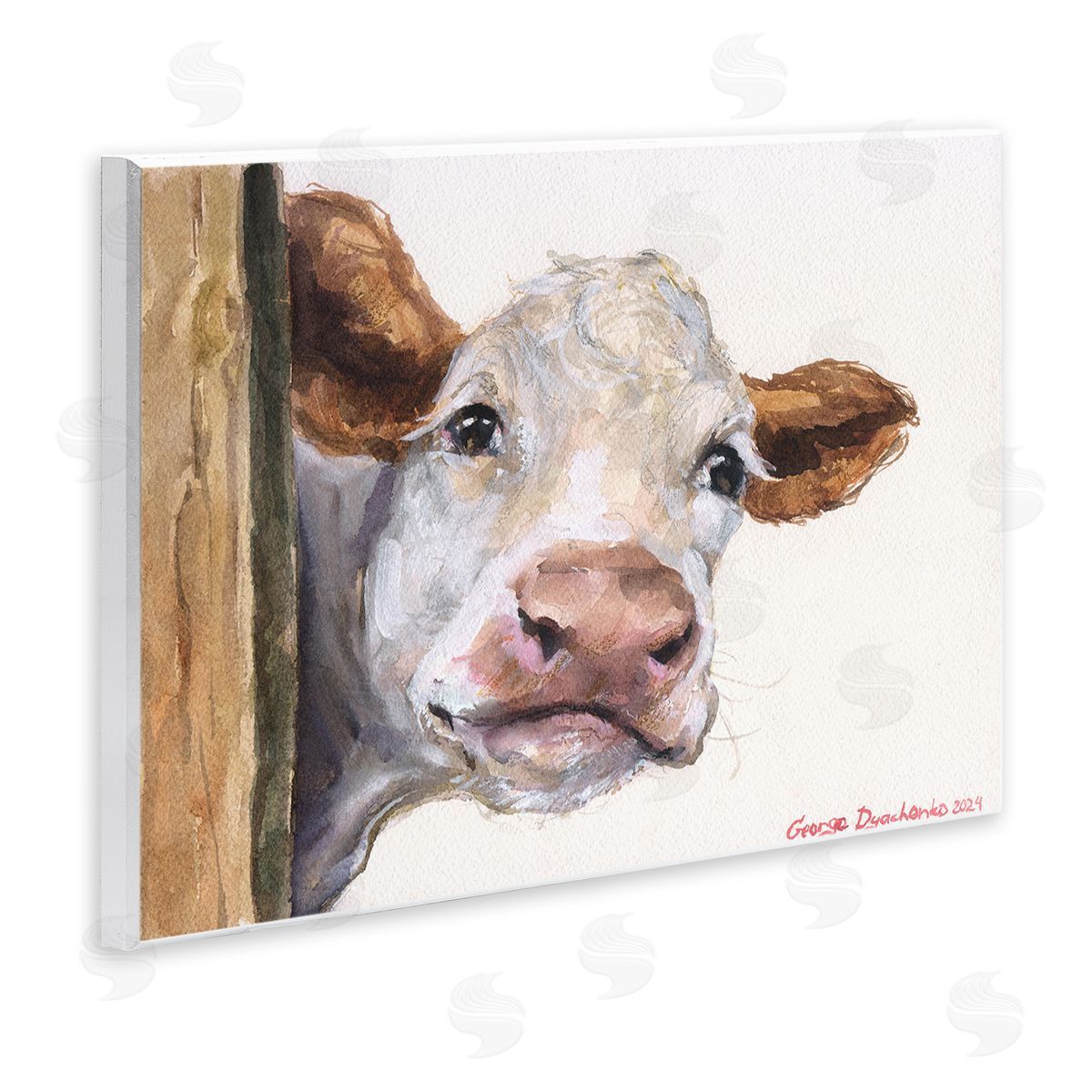 George Dyachenko Peeking Cattle & Fence