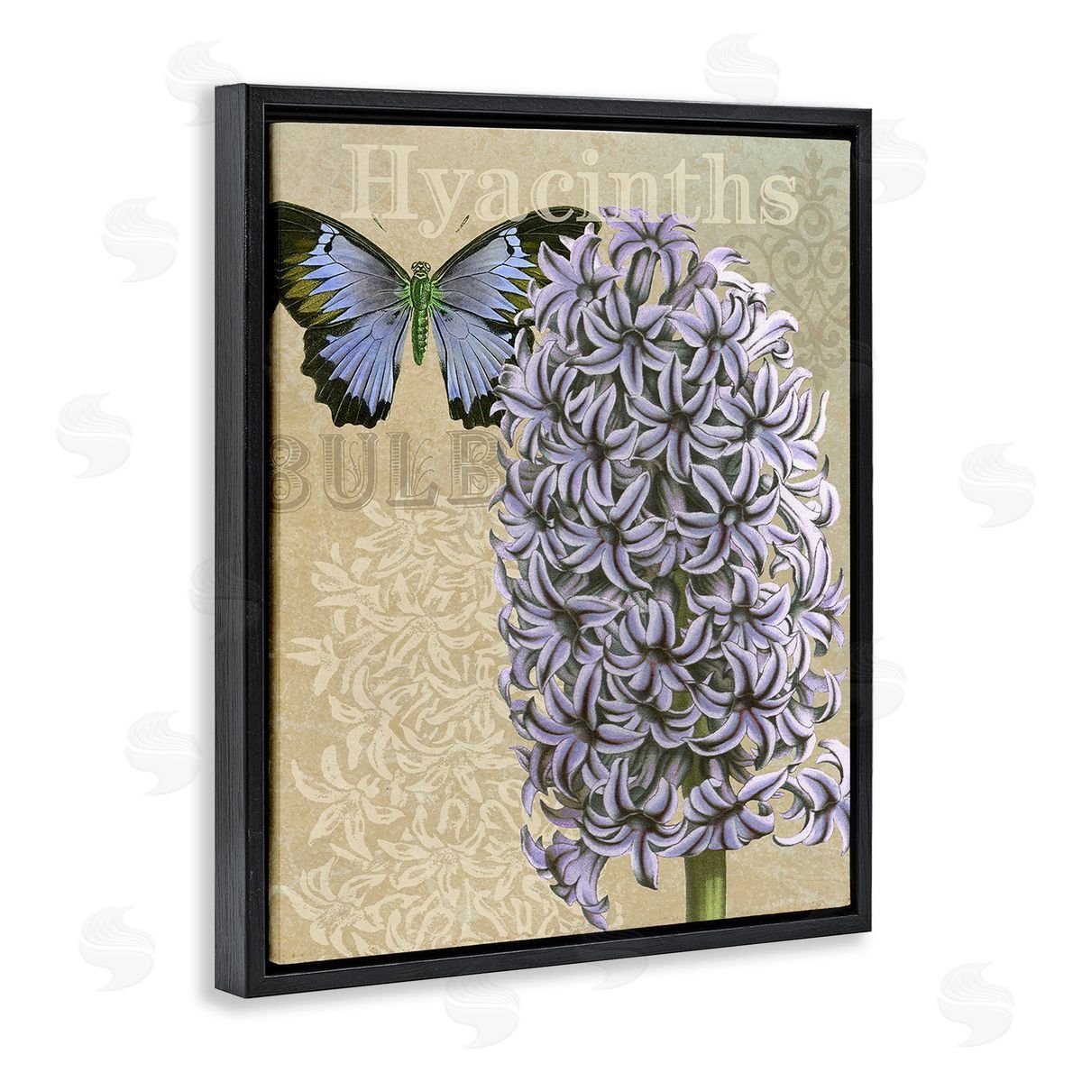 Gail fr_sideaser Hyacinth Pattern & Butterfly