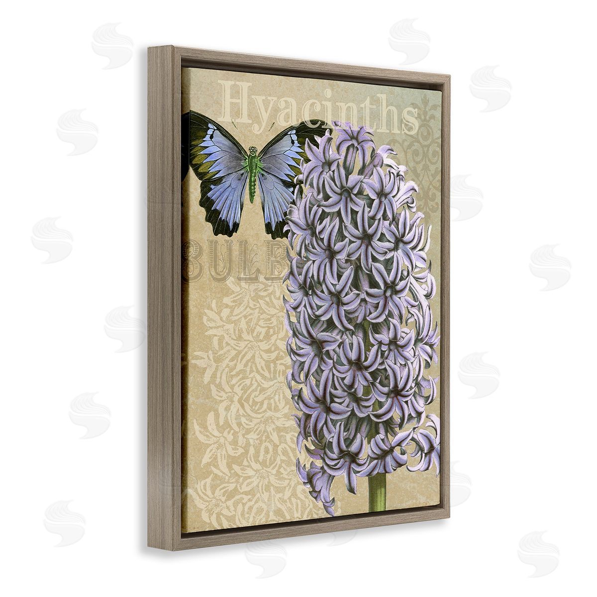 Gail fr_sideaser Hyacinth Pattern & Butterfly