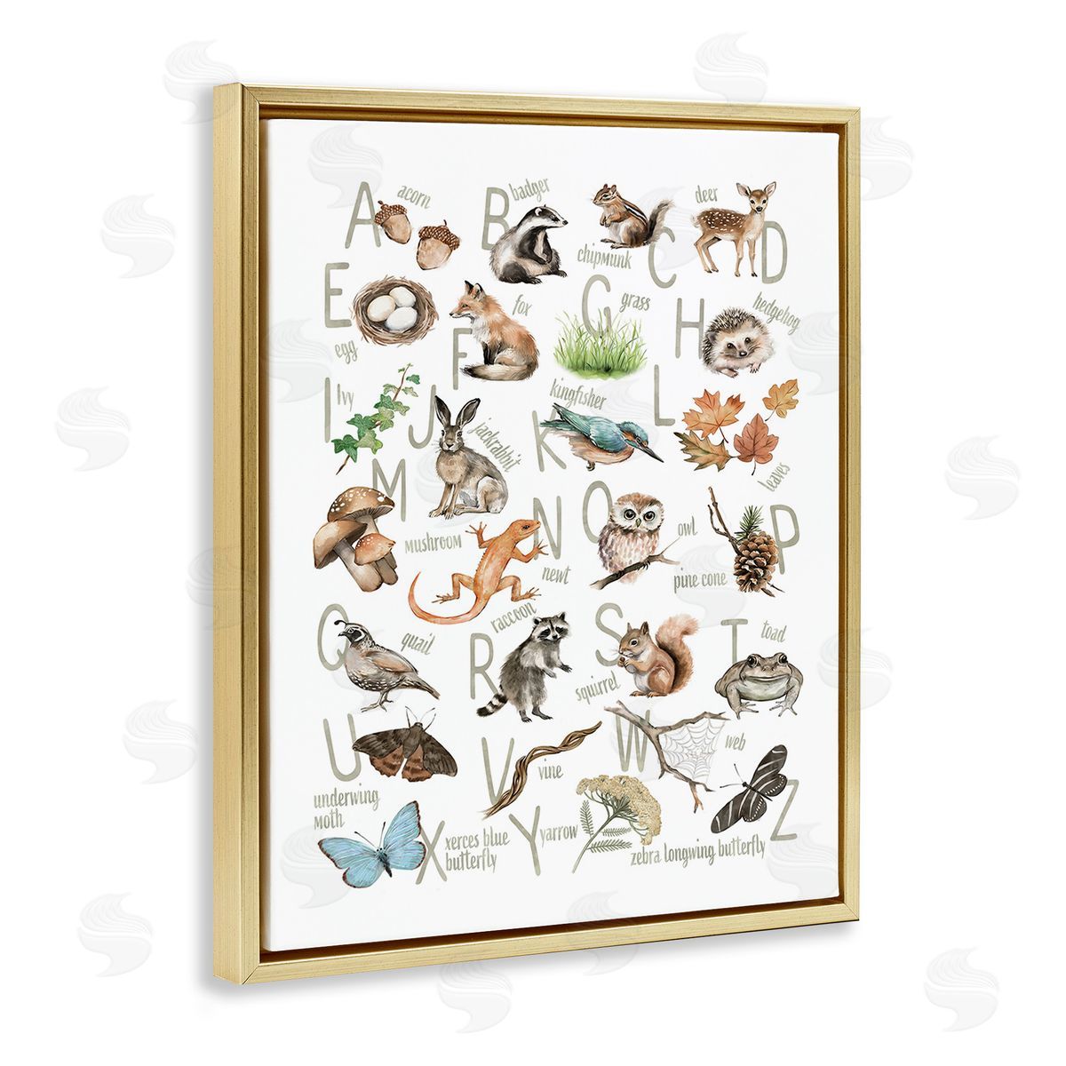 Ziwei Li Woodland Nature Alphabet