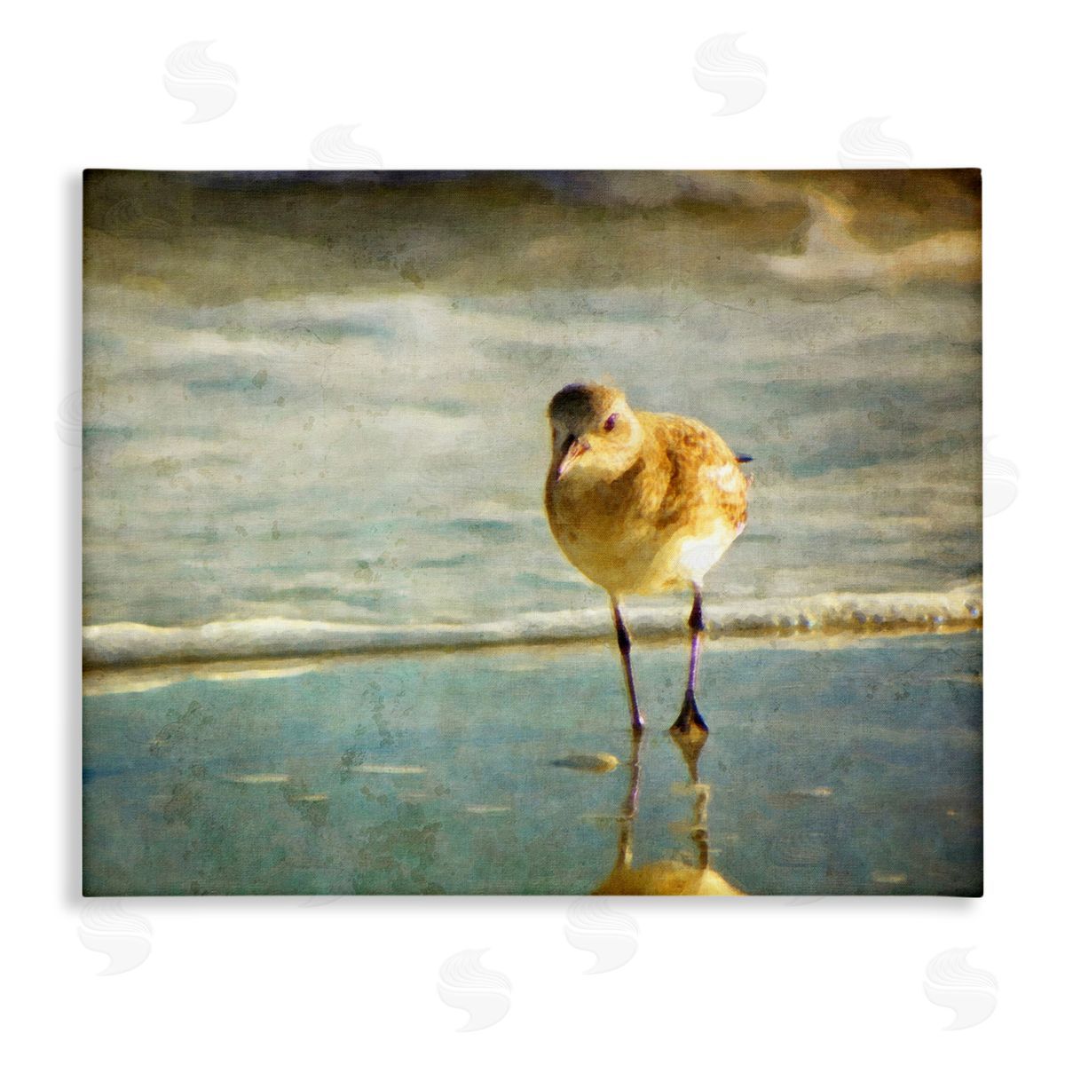 Graffitee Studios Stepping Sandpiper at Shore