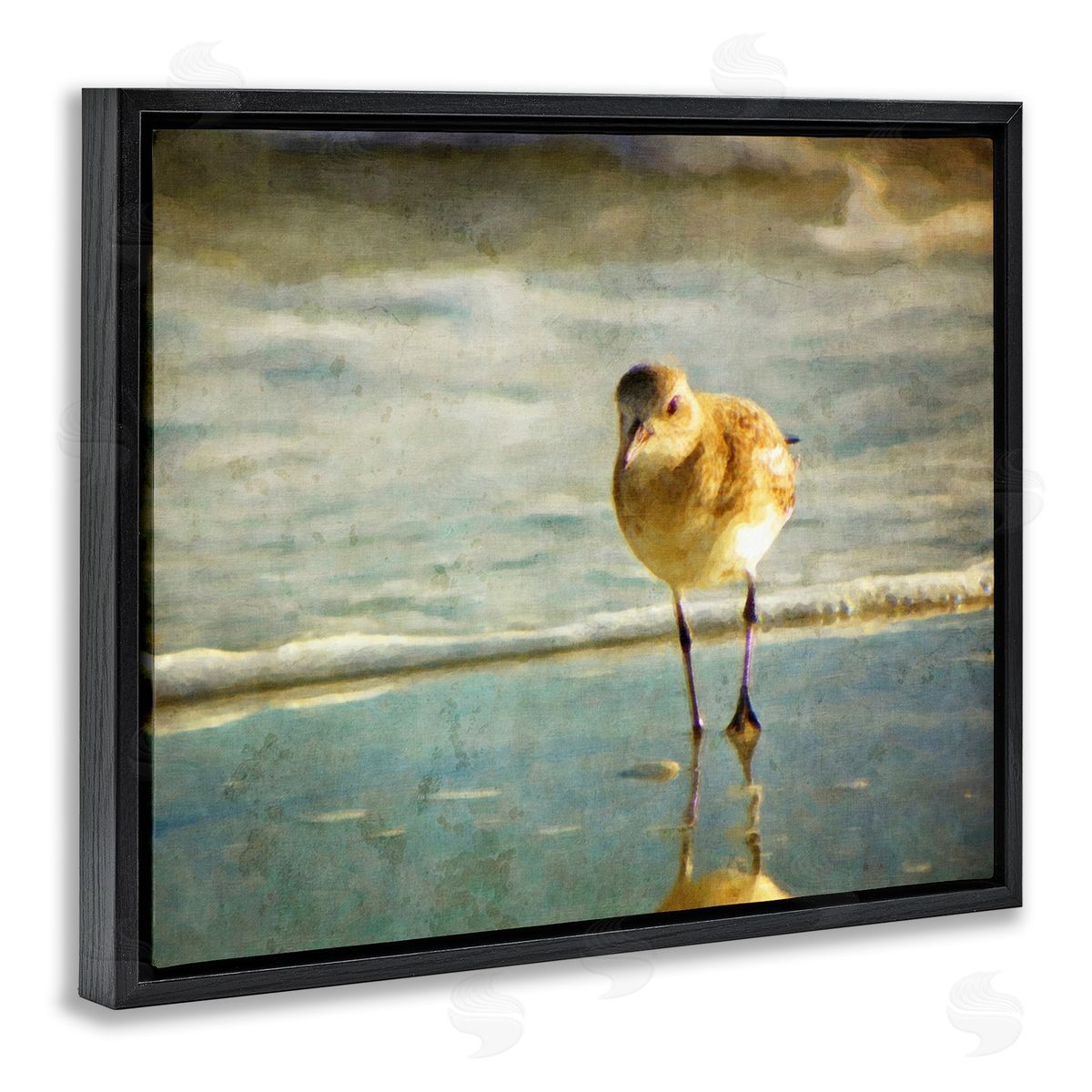 Graffitee Studios Stepping Sandpiper at Shore