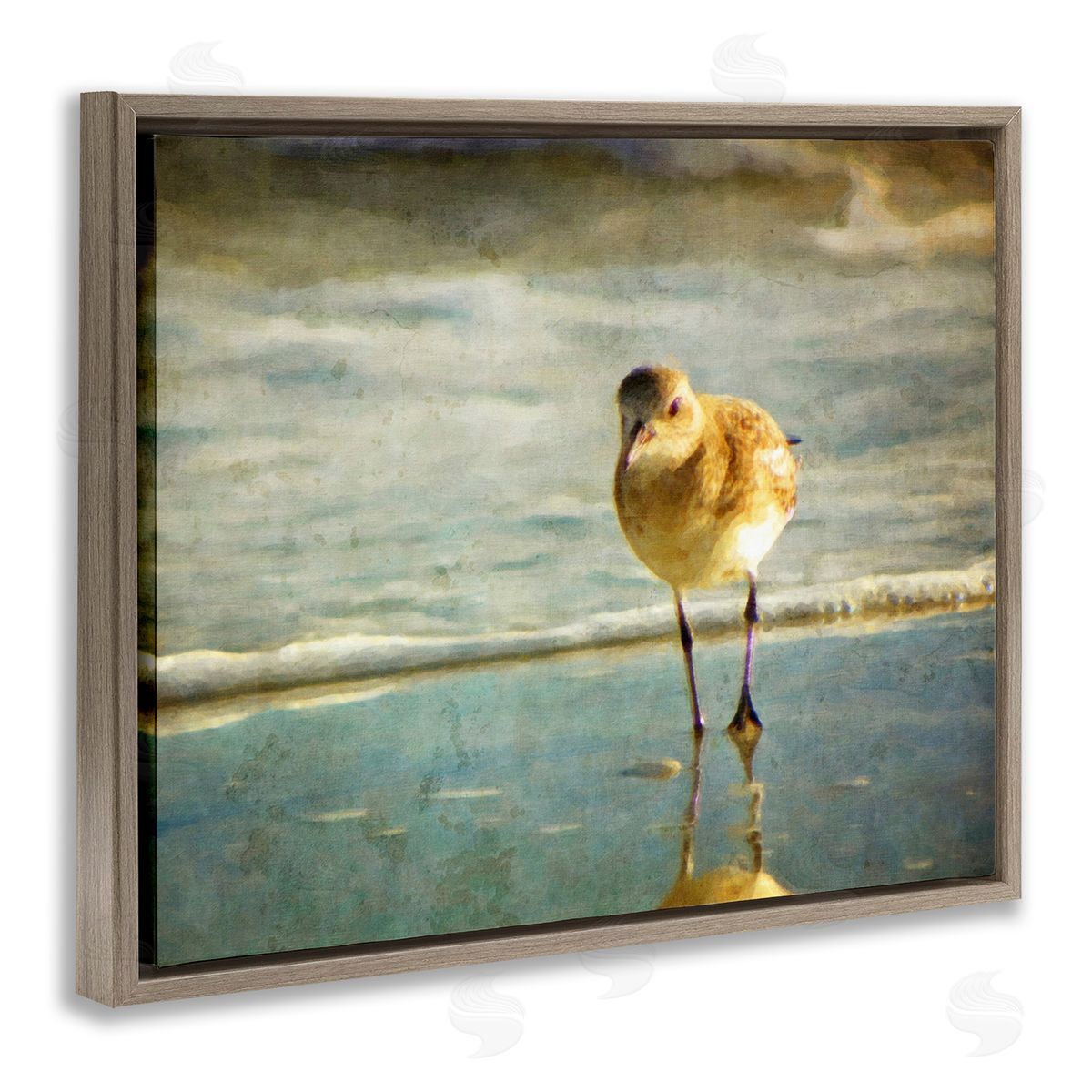 Graffitee Studios Stepping Sandpiper at Shore