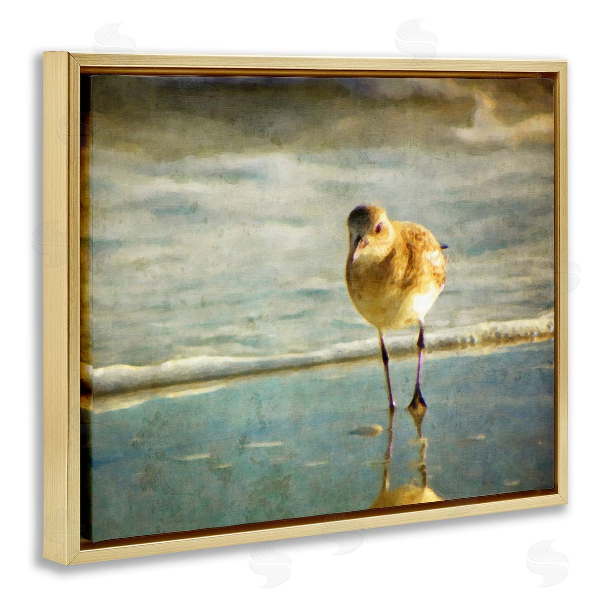 Graffitee Studios Stepping Sandpiper at Shore