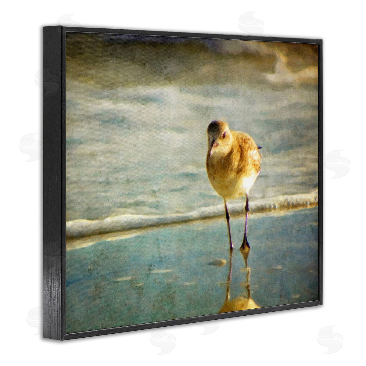 Graffitee Studios Stepping Sandpiper at Shore