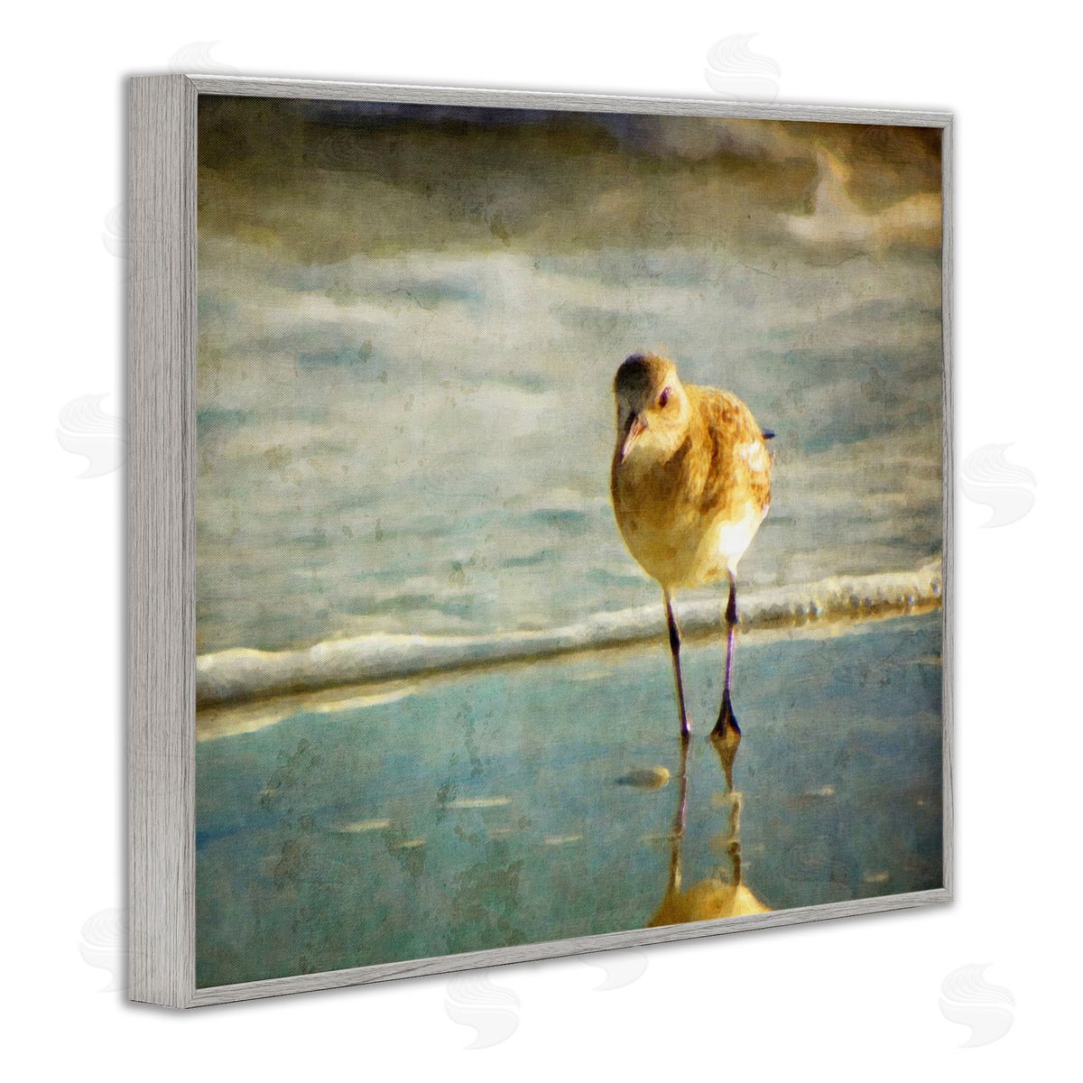 Graffitee Studios Stepping Sandpiper at Shore