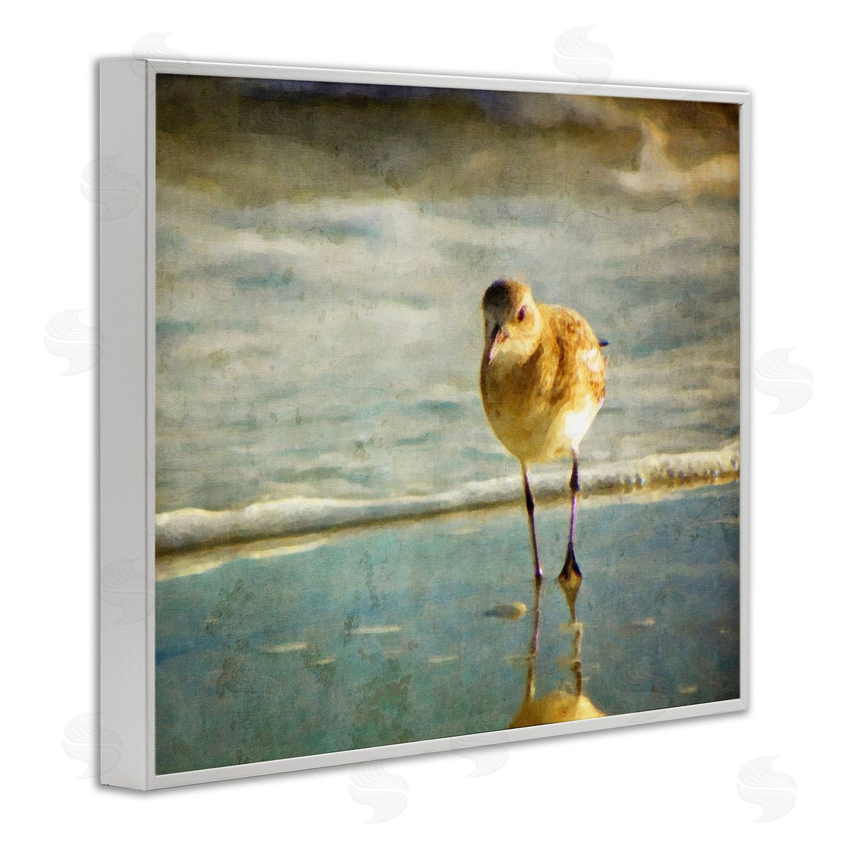 Graffitee Studios Stepping Sandpiper at Shore