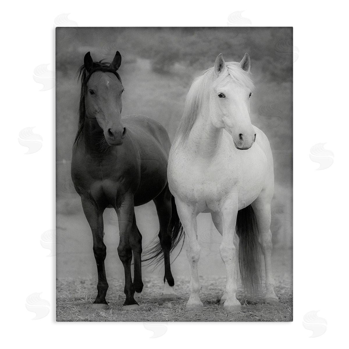JG Studios White & Black Horses