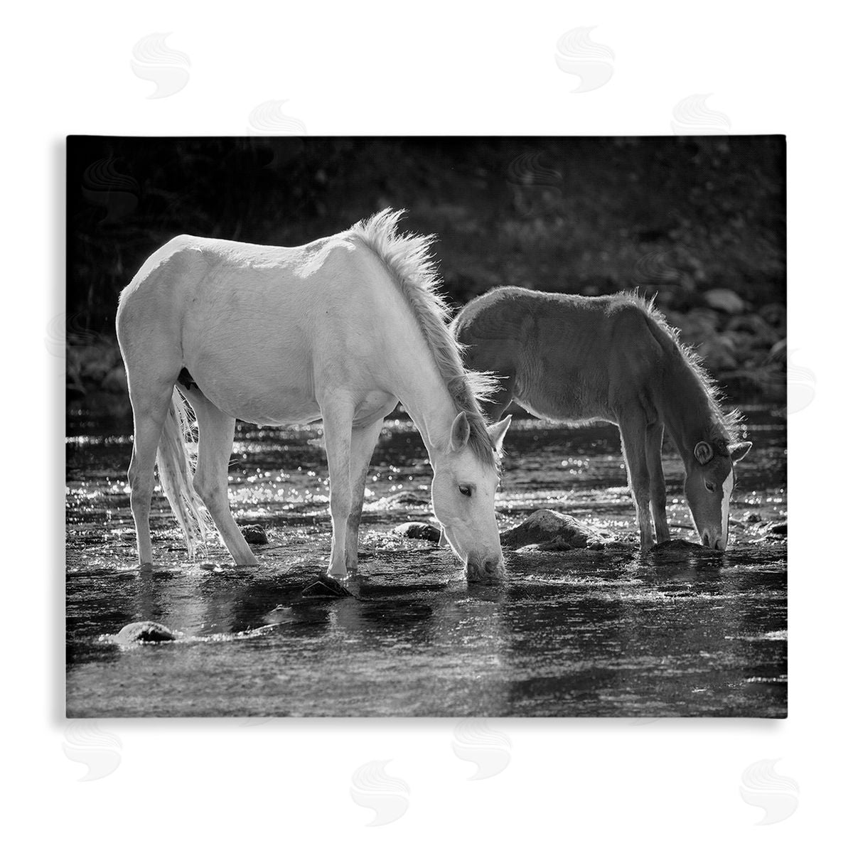 JG Studios Horses Drinking at Stream