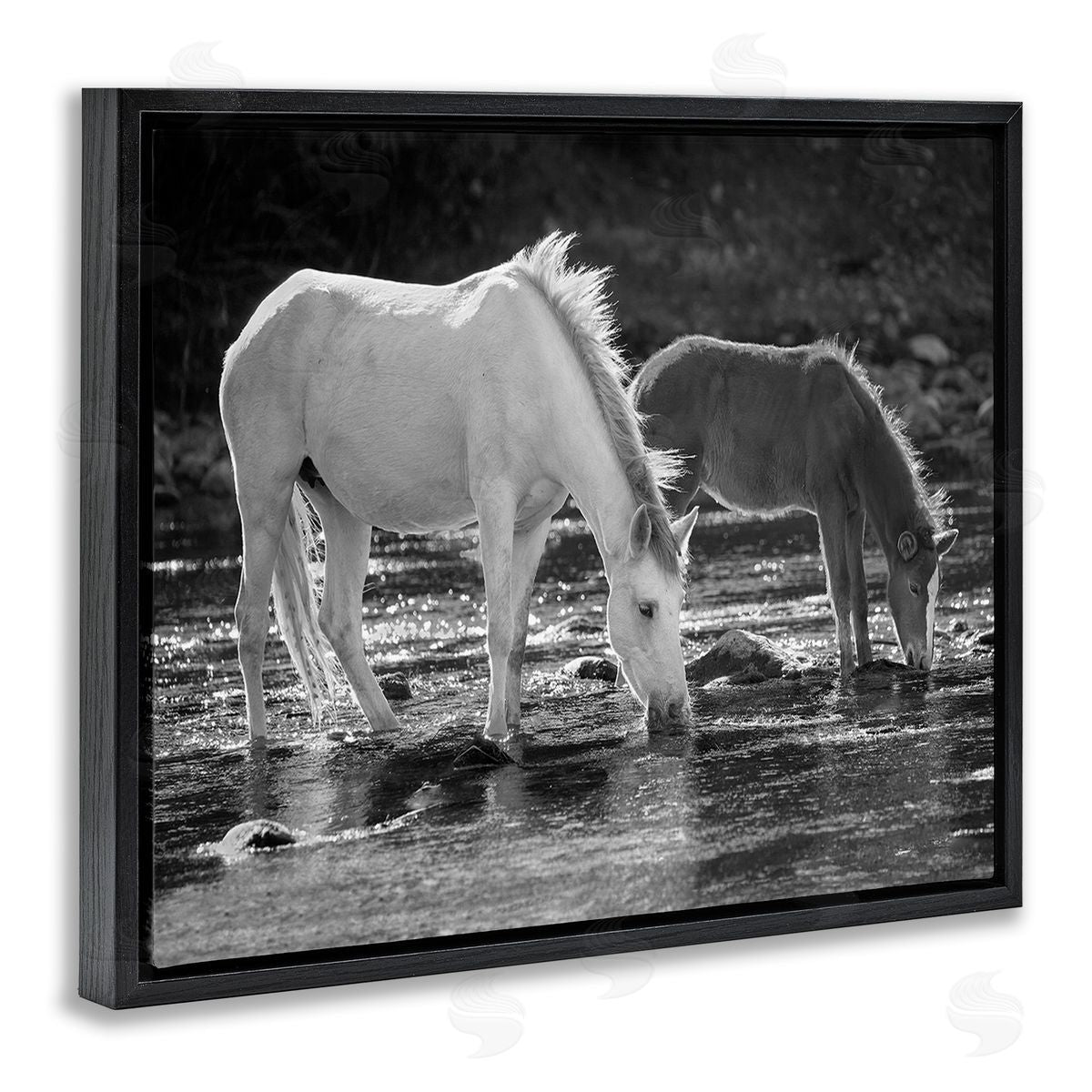 JG Studios Horses Drinking at Stream