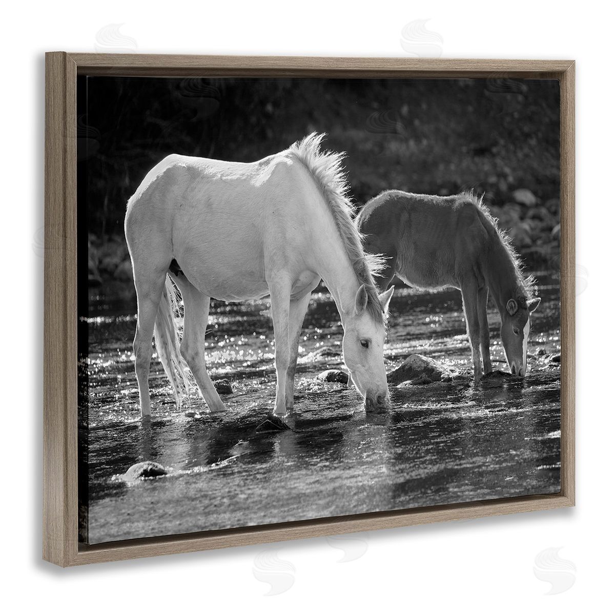JG Studios Horses Drinking at Stream