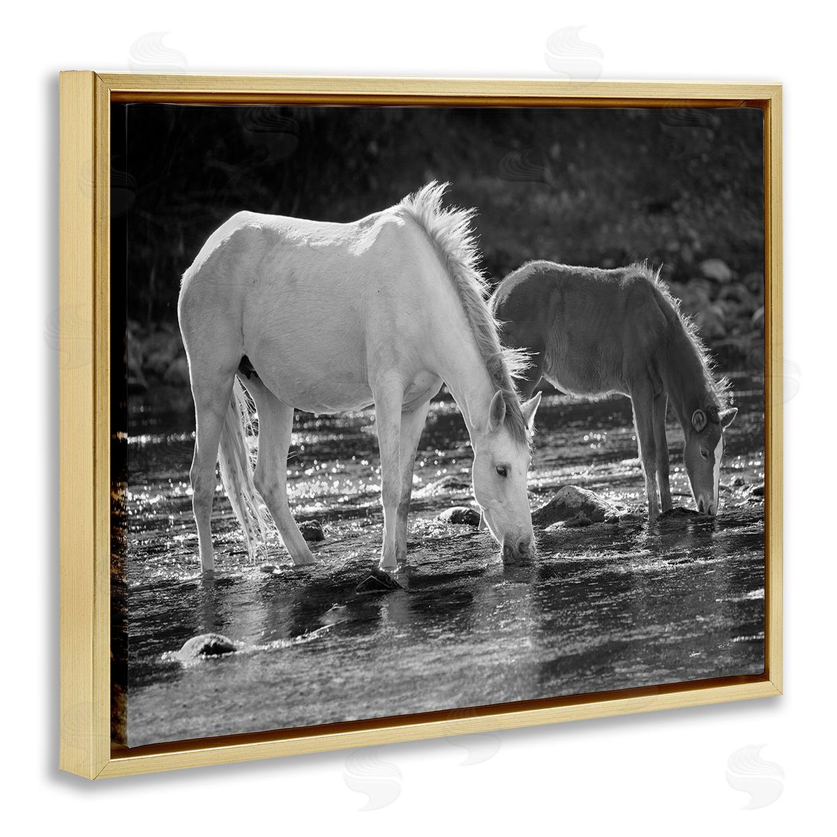 JG Studios Horses Drinking at Stream