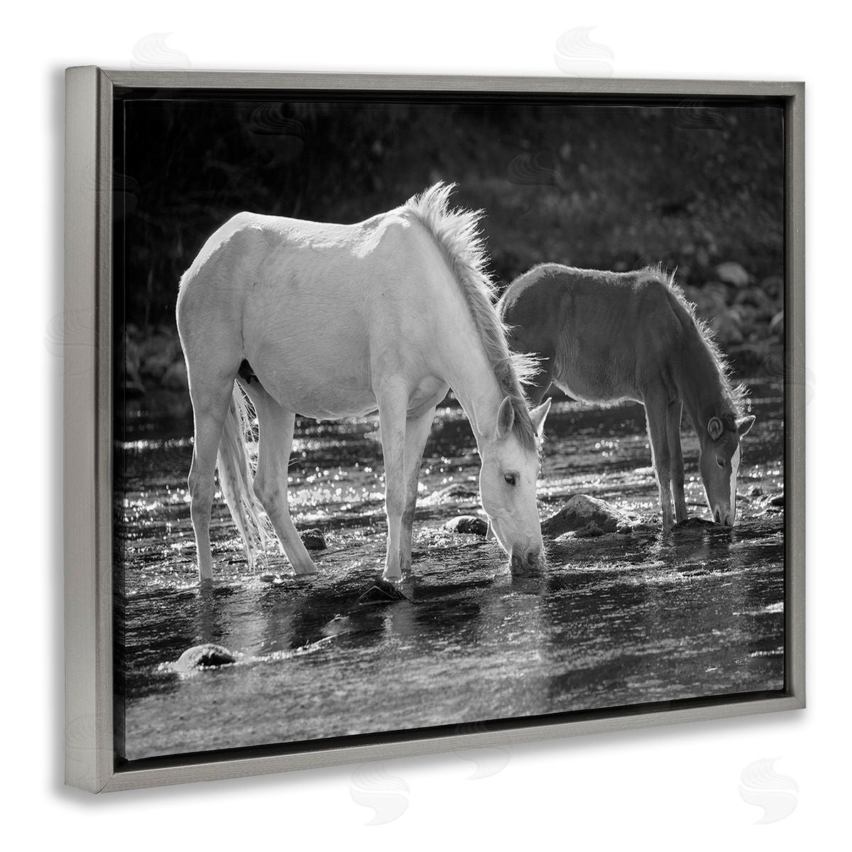 JG Studios Horses Drinking at Stream