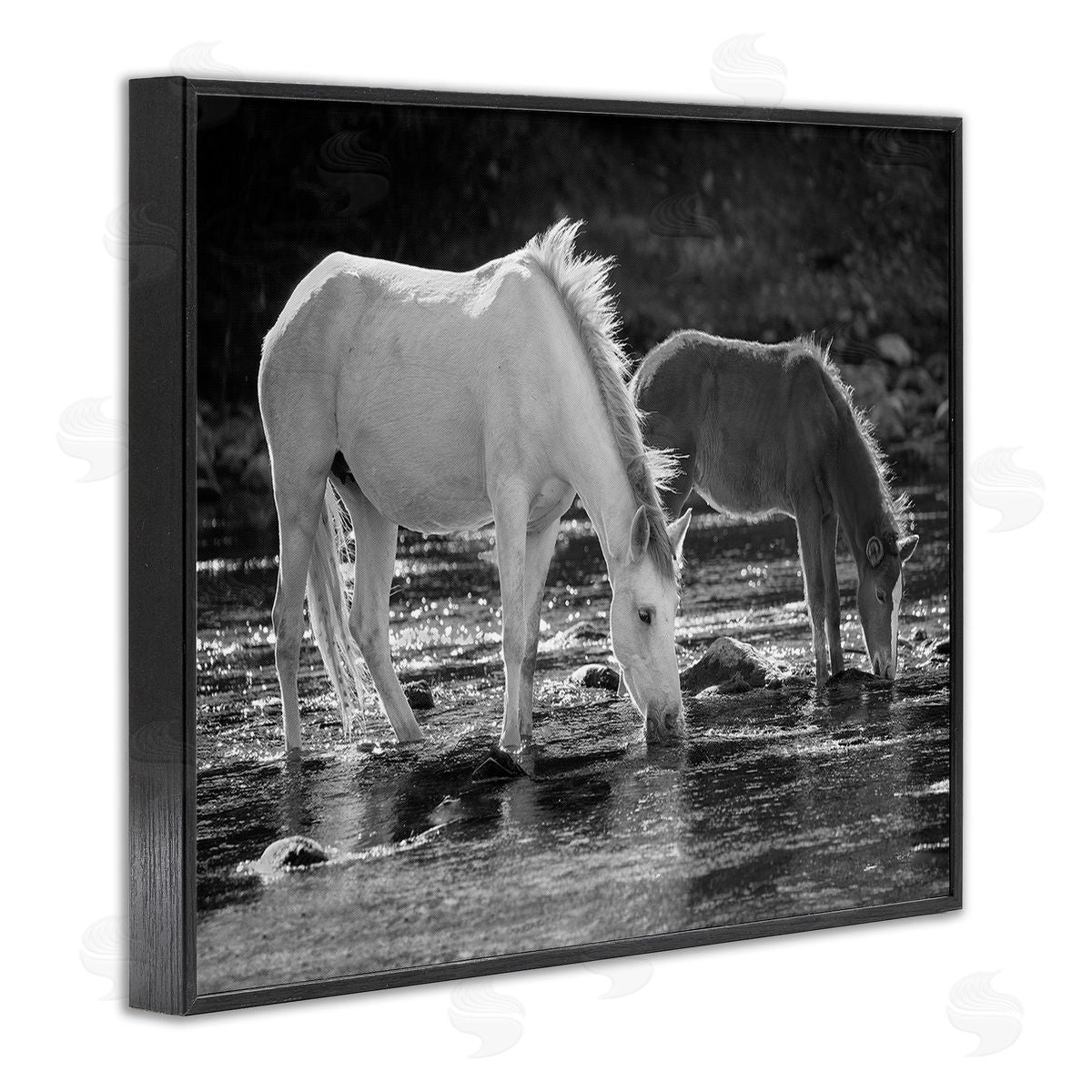 JG Studios Horses Drinking at Stream