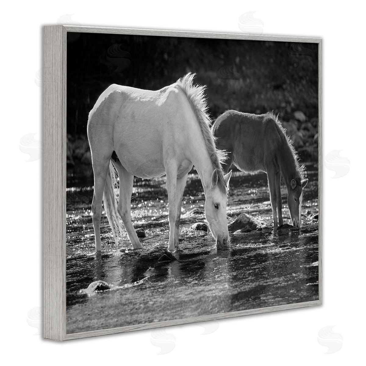 JG Studios Horses Drinking at Stream